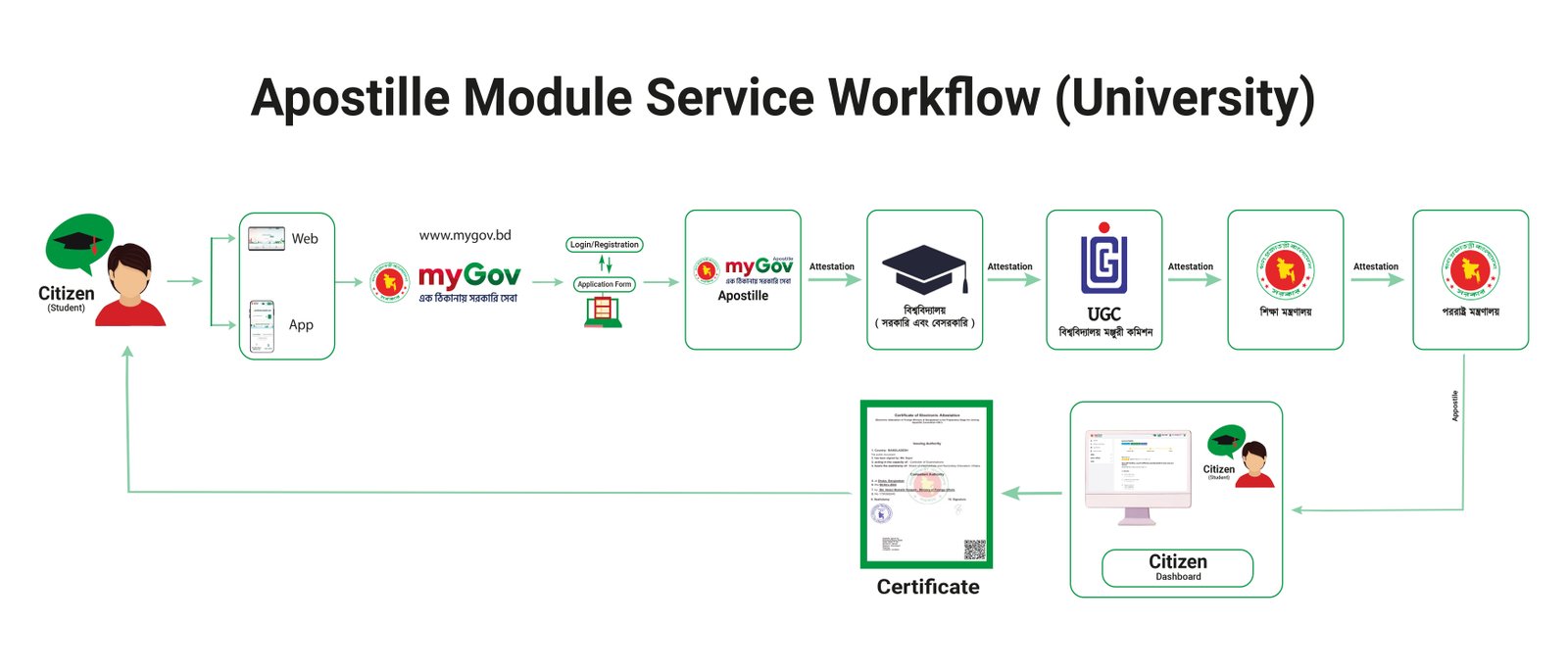 How it works - University apostille process
